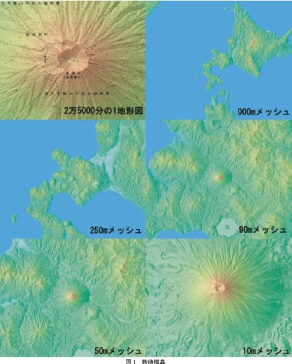 図 1 数値標高