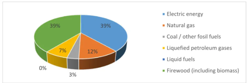 Figure 2. The structure of houses according to the energy source used for heating water in 2009.