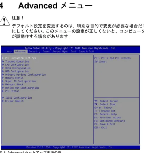 図 3: Advanced セットアップ画面の例