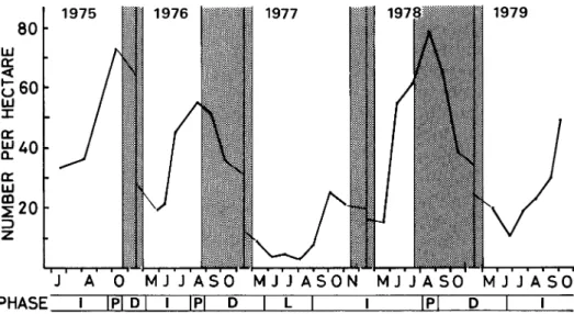 Figure  1  shows  the  change  of  density  in  A,  argenteus  during  five  years.  The  population  fluctuated  at  a  two-year  cycle  in  the  sense  of  KRESS &amp;  MYERS (1974),  excluding  the  census  of  1975