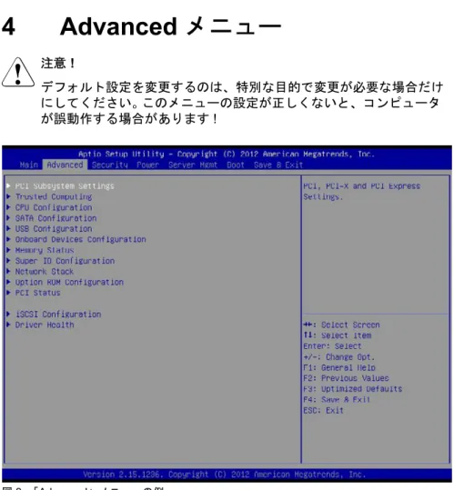 図 3: 「Advanced」メニューの例