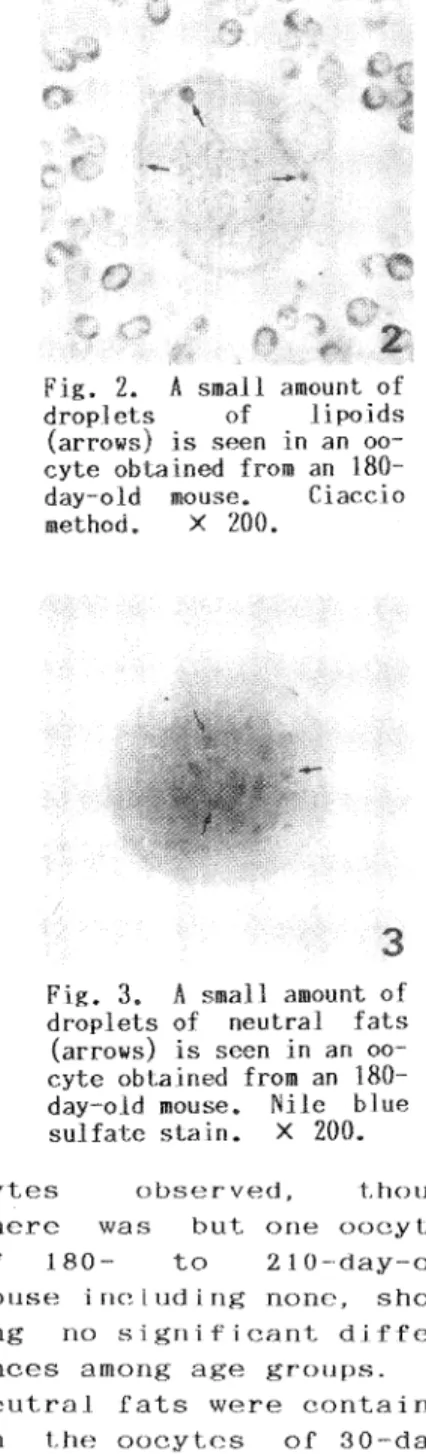 Fig.  3.  A  small  amount  of 