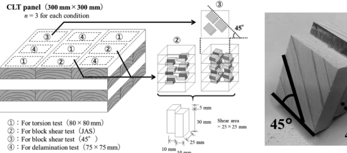 Fig. 3.  State of torsion test.