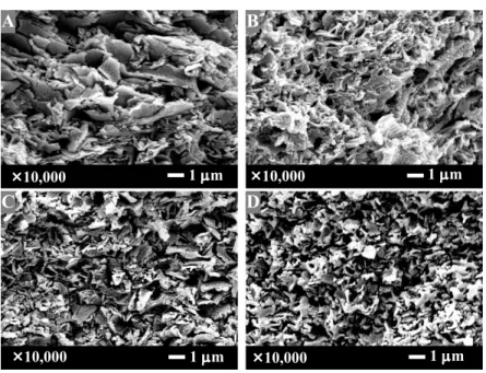 Fig. 7.　 Scanning electron microphotographs of cross-section of tablet  prepared by compression (50 MPa) of granules with various  particle densities