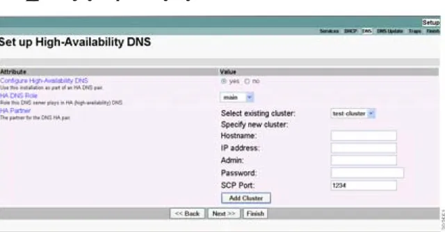 図 2-9 Set Up High-Availability DNS ページ（Setup）