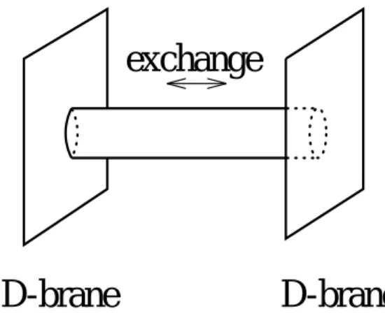 Figure 2.1: ２枚の D-brane の間を R-R gauge b oson が exchange されている。