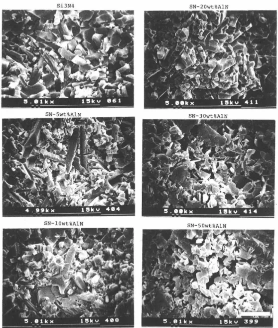 Fig.  6.  The  fracture  surfaces  of  Si3N4-AlN  composites.  The  bar  is  5ƒÊm.