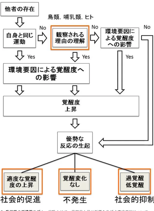 図  18.  動因説の再構築モデル：実験 1 にて，覚醒度上昇に影響を及ぼす環境要因について 検討し，覚醒度の変化による社会的促進，抑制，または不発生の可能性について示した。実 験 2 にて，ラットとヒトで，観察効果が共通して生じることを示した。実験 3 にて，共行動 効果は観察効果に比べてより低次な脳機能の可能性を示した。 