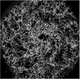 図 1: 2 kpc × 2 kpc の領域の準平衡状態での星間ガスの密度分布。 4096 2 の格子点を用いたモデル。 構造とよく似ています ( 例えば、 http://heritage.stsci.edu/2001/10/supplemental.html) 。 高密度・低温ガスは、分子雲や中性水素雲に相当し、低密度・高温のホールは、 「暖かい中性水素 ガス」に相当します。さらに重要なのは、この構造が「大局的には準平衡状態」にあるということ です。すなわち、個々の細かい構造 ( クランプやフィラメント 