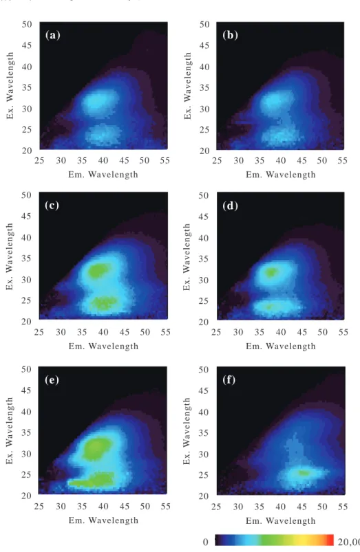 Fig. 3　3D-ﬂuorescence spectrum of groundwater and surface water samples in the Horonobe area.