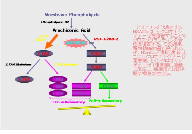 図   ア ラ キ ド ン カ ス ケ ー ド と NSAIDs に よ る シ ク ロ オ キ シ ゲ ナ ー ゼ 阻 害  