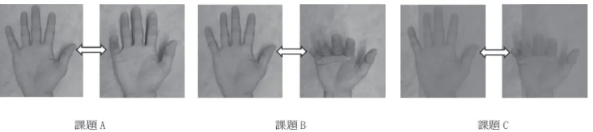 Fig. 1　 Video presented on the PC screen. The video portrayed three conditions: movement of the little finger  （task A） ; simultaneous  movements of little finger, ring finger, middle finger and index finger  （task B） ; and movement same as B but blurring 