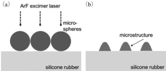 Fig. 1  Side views of the silica glass microspheres aligned silicone  rubber. （a） during  laser  irradiation, （b） after  subsequent  removal of the microspheres.