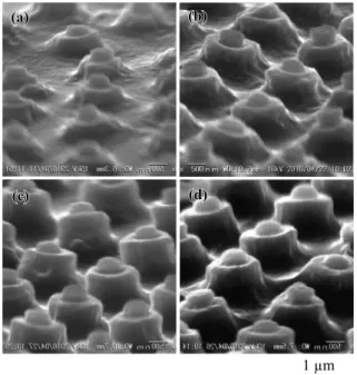 Fig. 2  SEM images of micro-swelling structures formed at the  different single-pulse fluences of （a） 10, （b） 20, （c） 30, （d）