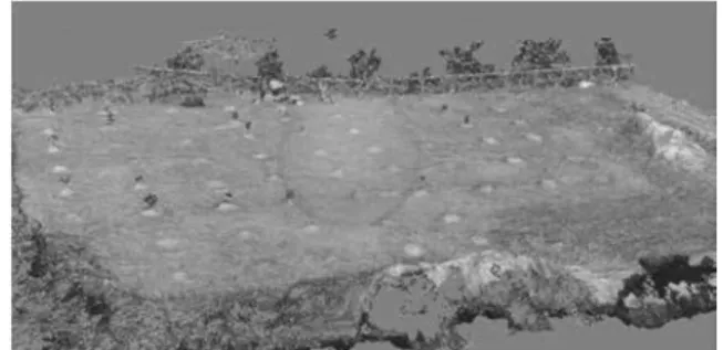 図 11  ドローンで撮影された画像から作成したオリーブ畑の３D モデル  漆山ゼミの近藤、滝澤らの研究から、ドローンによる空撮と SfM による３ D モデル化 によって、0.1m 程度の精度でオブジェクトの採寸が可能であることが示唆された。そ こで、その際寸技術の木々や作物の育成状況計測に応用できないかと考え、2020 年 10 月に岩田ゼミの学生 1 名とともに、第 2 校地あるオリーブ畑の空撮を行い、 SfM による ３ D モデル化を行い、オリーブの採寸を試みた。測定には、ドローン（ Pantom