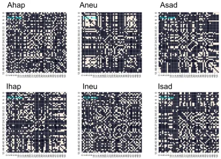 Fig. 12　 6 種類の顔表情呈示課題に対する脳賦活の状態を表す隣接行列（adjacency matrix）