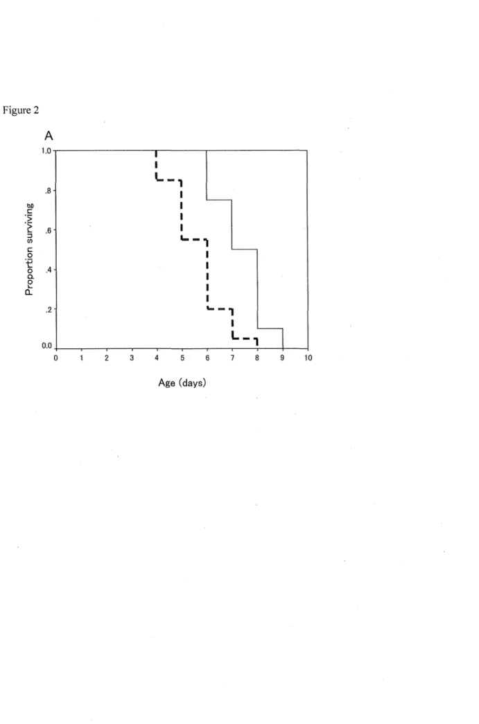 Figure 2  A  1.0  L-, I  .8  I  bJ)  I  C  I ·5  ·~  .6  I  :I  '--, (/)  C  I  ·,e 0  .4  I 0  0
