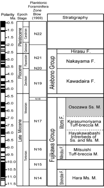 Fig.  3　Stratigraphic  succession  of  the  Fujikawa  Group  and the Akebono Group （after Shiba et al., 2013）
