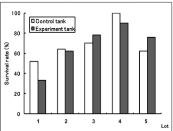 Fig. 5　Combined experiment, aeration and supplementally  use  of  Nannochloropsis.  Comparison  of  survival  rate  of  juvenile  fish  after  two  weeks  experimental  period