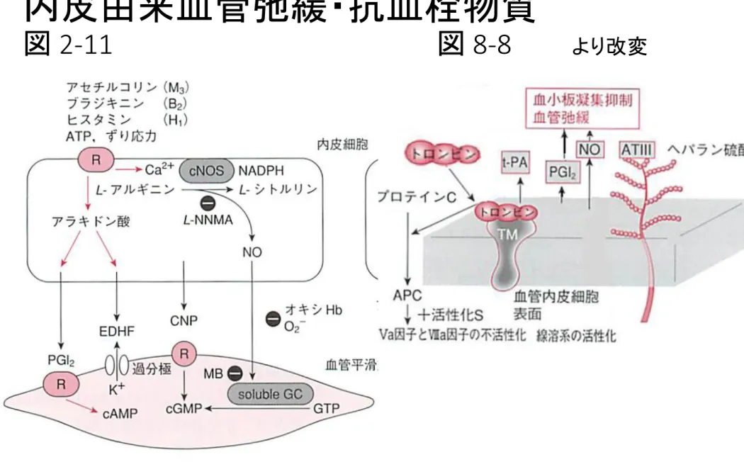 図 2-11     図 8-8 より改変