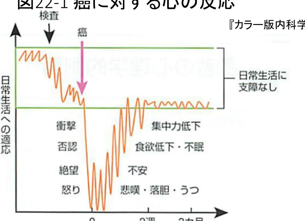 図 22-1  癌に対する心の反応