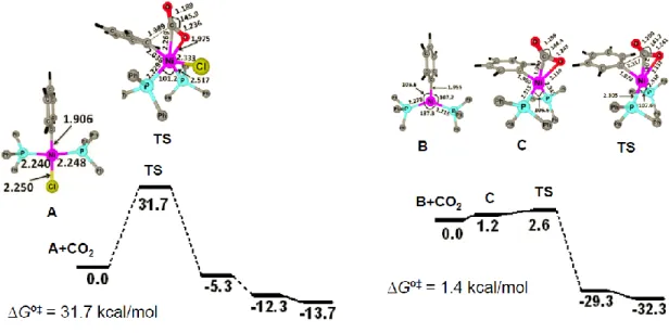 Figure 2. Gibbs Energy Profile for CO 2  Insertion Reaction  応は 2008 年にスチレン 5a あるいはアレン 5b を基質として用い初めて報告された。 しかし，これらの反応においては， Et 2 Zn 5a あるいは Et 3 Al  5b など発火性の極めて反 応性の高い還元剤を反応に用いる必要があった。    我々はアルキンの二酸化炭素を用いる触媒的ヒドロカルボキシル化反応の最初の 例を見出した。反応においては，銅触媒が活性であり，また還元