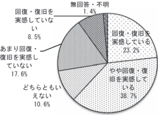 図 14　東日本大震災からの回復・復旧（N ＝ 517） ⅹⅱ ４．８　名取市への要望についての自由記述 　本調査では名取市への要望について自由記述でたずねた。記述があったのは 517 名のうち、 210 件である。その特徴的な内容を紹介する。 　まず、①被災からの早い復旧・復興への期待が記されている。 　・「名取市の復興の為に全力を尽くしてほしい。」（男性・30 歳代） 　・「被災地のライフラインの復旧が大変遅いのでそれに対するサポート強化をしてほしい。」 （女性・40 歳代） 　・「とにかくなによりも住
