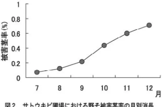図 3 サ トウキビ圃場における野そによる被害茎の年次推移.