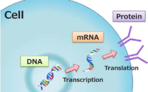 Fig. 2  mRNA expression analysis at the cell-population  and single-cell level. (a) Analysis at the cell  population provides an averaged mRNA  expression  profile that is insensitive to variation  between individual cells
