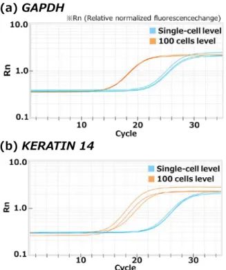 Fig. 8  Amplification curve of (a) GAPDH  and (b)  KERATIN 14 at single-cell and 100 cells level
