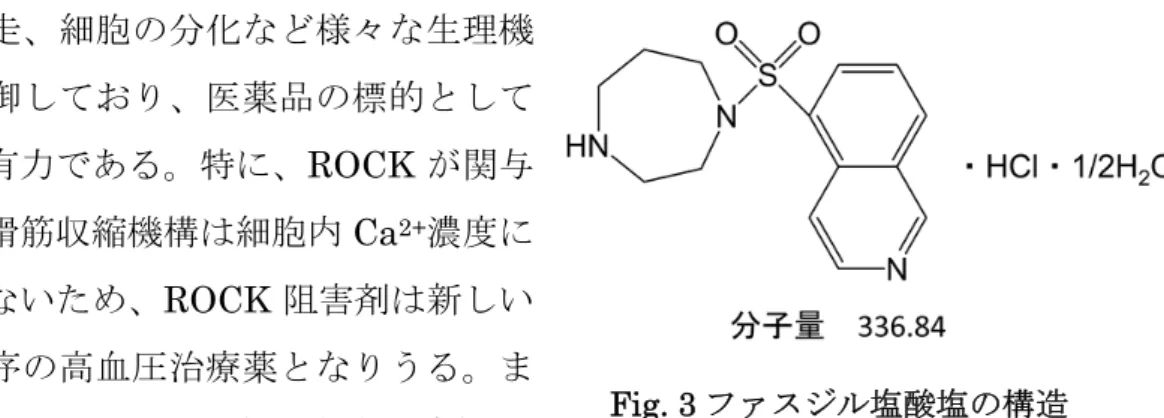 Fig. 3 ファスジル塩酸塩の構造 