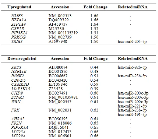 表 5. DNA microarray 解析 (Affymetrix Human Transciptome Array 2.0) 