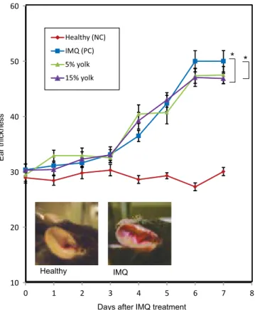 Fig. 6　卵黄含有飼料継続摂取の IMQ 誘発乾癬病態モデルマウスに及ぼす効果 8-9 週齢の雄性 C57BL6j マウスに IMQ 投与 10 日前から卵黄含有飼料（5, 15％含有）を自由 摂取させた。両耳介にイミキモドを毎日計 7 回塗布した。健常マウス（Healthy）および乾癬 マウス（IMQ）、5％、10％卵黄含有飼料摂取群から脾細胞を調製し、PMA（a）、あるいは抗 CD3 抗体（b）にて刺激し、培養上清を ELISA にて測定した。（n=3）10203040506001234567 8E