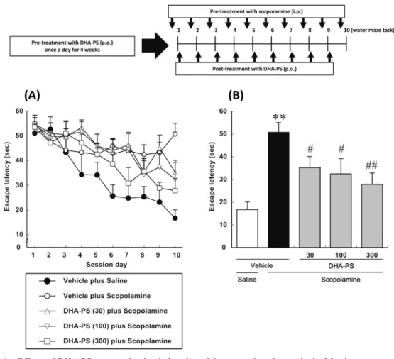 Fig. 1　 Effects of DHA-PS on scopolamine-induced spatial memory impairment in the Morris water maze test  in mice