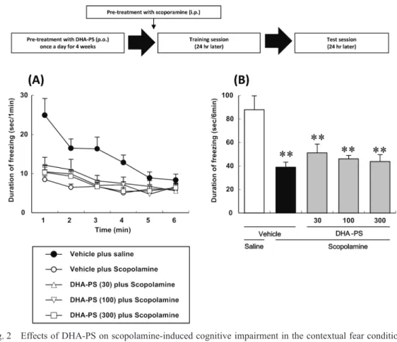 Fig. 2　 Effects of DHA-PS on scopolamine-induced cognitive impairment in the contextual fear conditioning  in mice