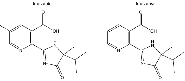 Fig. 1      Chemical structures of imazapic and imazapyr 