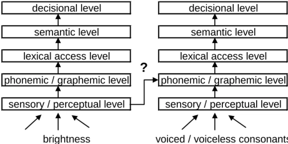 Fig. 6. Pictorial interpretation of hypothetical processes underlying brightness and  voiced/voiceless consonants (modified from Melara &amp; Marks, 1990)
