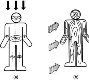 Figure 2. Induction of eddy currents in the human body perpendicular to (a) a vertical magnetic field and (b) a horizontal magnetic field