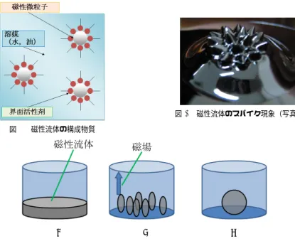 図 1 磁性流体の構成物質 図 2 磁性流体のスパイク現象（写真） (a) (b) (c) 図 3 磁性流体の形状の可能性． （a）ポテンシャルエネルギー最小， （b）磁気エネルギー最小， （c）表面エ ネルギー最小の状態を示す． ションの方法を提案する． 表面がスパイク状になるメカニズムを説明する．重力以外の力がはたらいていない状態では 図 3(a) のように磁性流体は一定の高さで水平面を作る．この状態は位置エネルギー E g が 最小である．次に図 3(b) は鉛直上向きの一様磁場をかけた場合の模式図で