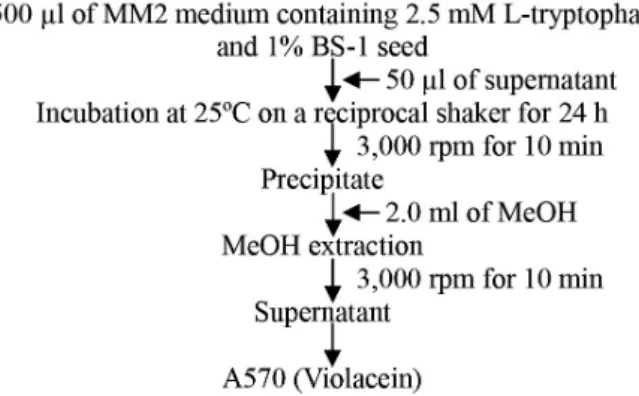 Fig.  5.  Time  course  profile  of  Massilia   sp.  BS-1  cultivated in nutrient broth.