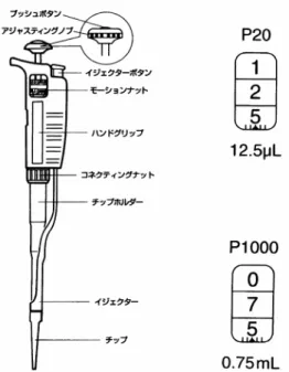 図 1-2-4  ピペットマン ® （ P タイプ）の構造とその目盛りの読み方  ②  ピペットマン ® のチップホルダーの先端に，所定のチップをしっかり固定する．チップはピペットマンのモデ ルごとに決められている．  ③  プッシュボタンを第１ストップまで押し下げ（図 1-2-5），垂直のまま先端を溶液に浸し，プッシュボタンをゆ っくり戻し，液を吸入する［第１ストップまでの容量がはかりとる容量である］．このとき，チップ先端の深さは 以下のようにし，決して深すぎないようにすること．  P-2，P-10：  