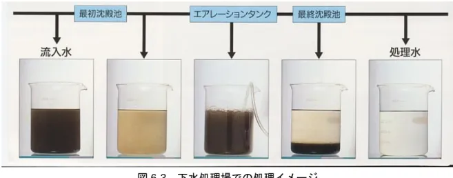 図 6-3  下水処理場での処理イメージ  6.3  どのような微生物かの観察  実習では、実際の下水処理場から採取した活性汚泥中の微生物を顕微鏡で観察してみましょう。 親しみが湧くでしょう。浄化をしている微生物は、非常に小さく肉眼では見えないので顕微鏡を 使います。図 6-4（12 頁）に、活性汚泥中に比較的多く出現する微生物の写真例を掲載してあり ます。但し、いつでも観察できるとは限らないし、他の微生物である場合もあります。  7  持続可能な世界に向けて  今、地球規模での気候変動や資源の枯渇、食料問