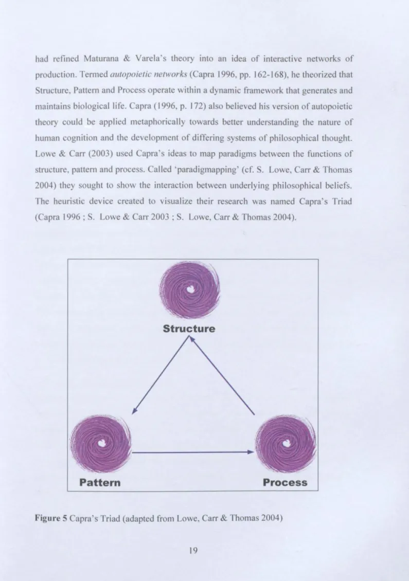 Figure 5 Capra's Triad (adapted from Lowe, Carr &amp; Thomas 2004)
