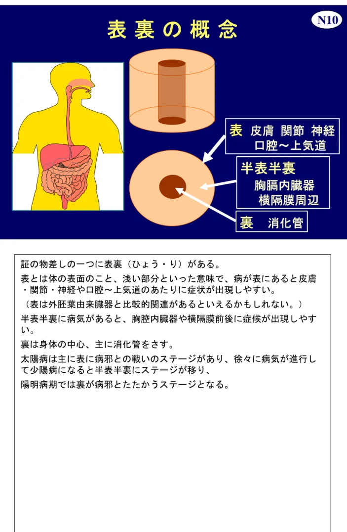 表 裏 の 概 念 N10 表 皮膚 関節 神経 口腔～上気道 半表半裏 胸膈内臓器 横隔膜周辺 裏 消化管 証の物差しの一つに表裏（ひょう・り）がある。 表とは体の表面のこと、浅い部分といった意味で、病が表にあると皮膚 ・関節・神経や口腔～上気道のあたりに症状が出現しやすい。 （表は外胚葉由来臓器と比較的関連があるといえるかもしれない。） 半表半裏に病気があると、胸腔内臓器や横隔膜前後に症候が出現しやす い。 裏は身体の中心、主に消化管をさす。 太陽病は主に表に病邪との戦いのステージがあり、徐々に病気が進