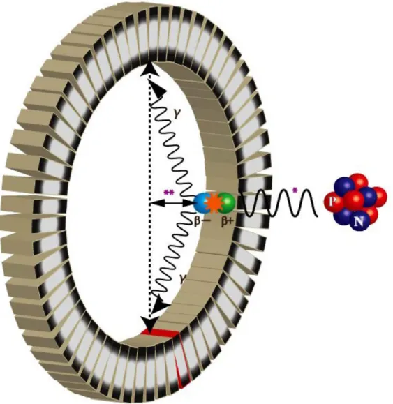 Fig 1.1 Detection of the annihilation radiation: (*) Positron range and (**) annihilation  photon non-collinearity