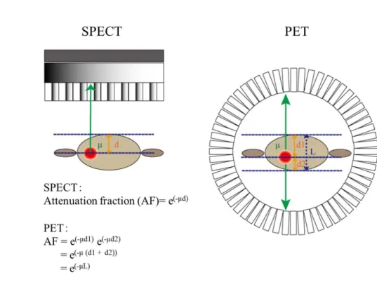 Fig 1.2 Attenuation of the gamma rays: comparison between SPECT and PET.
