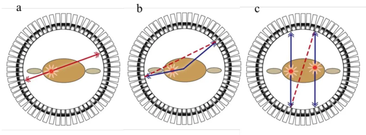 Fig 1.3 Coincidence types. a: True, b: scatter and c: random. 