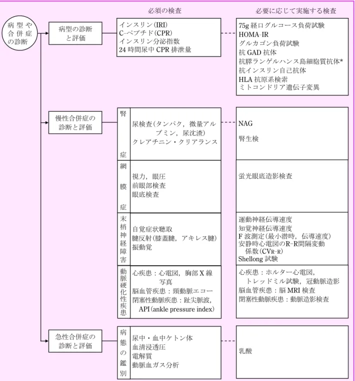 図 2  糖尿病の病型や合併症診断のための検査のすすめ方  2．必要に応じて実施する検査  1)75gOGTT    血糖が著しく高くない  2 型糖尿病では，75gOGTT  時に，血糖と同時に IRI や CPR を測定することにより， 内因性のインスリン初期分泌能を評価できる。負荷前 と負荷後 30 分の血糖値と IRI 値の増加分の比( ∆ IRI値 / ∆ 血糖値)はインスリン分泌指数と呼ばれ，インスリン 分泌能の推定に有用である。なお，血糖値が著しく高 い  1 型糖尿病の場合では，OGTT の