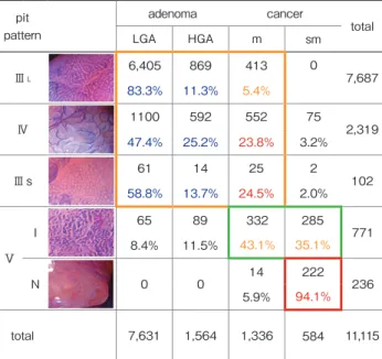 表 2　拡大内視鏡による pit pattern 診断と病理組織との対応 pit pattern adenoma cancer total LGA HGA m sm Ⅲ L 6,405 869 413 0 7,687 83.3% 11.3% 5.4% Ⅳ 1100 592 552 75 2,319 47.4% 25.2% 23.8% 3.2% Ⅲ s 61 14 25 2 58.8% 13.7% 24.5% 2.0% 102 Ⅴ I 65 89 332 2858.4%11.5%43.1% 35.1% 771