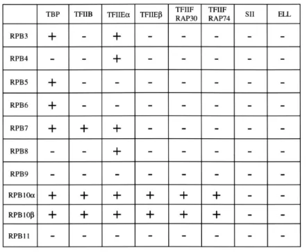 Table 1. Interaction between Pol II subunits and general transcription factors